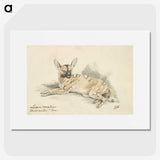 1-53_Charles-Hamilton-Smith_picture