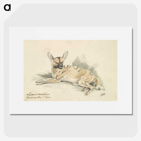 1-53_Charles-Hamilton-Smith_picture