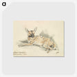 1-53_Charles-Hamilton-Smith_postcard