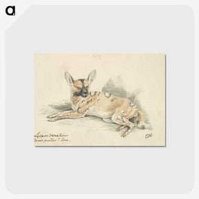 1-53_Charles-Hamilton-Smith_postcard