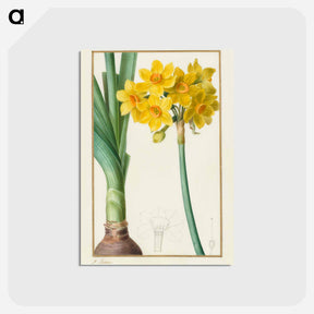 アートポストカード-Cleveland Museum of Art
 - クリーブランド美術館 Postcard.