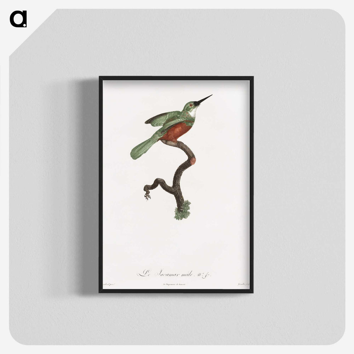 1-53_Des-Oiseaux-de-Paradis_blk-crop