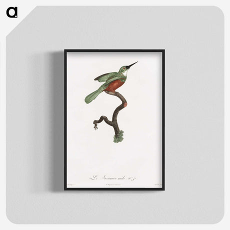 1-53_Des-Oiseaux-de-Paradis_blk-crop