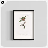1-53_Des-Oiseaux-de-Paradis_blk