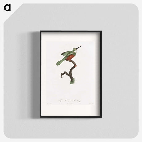 1-53_Des-Oiseaux-de-Paradis_blk