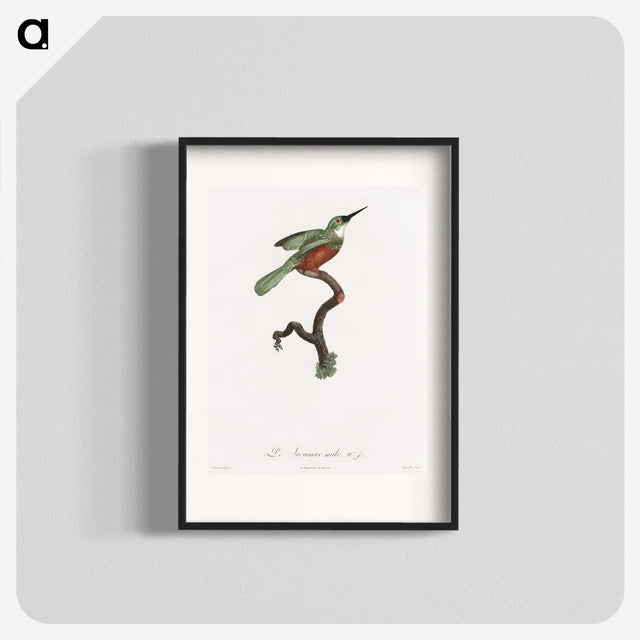 1-53_Des-Oiseaux-de-Paradis_blk
