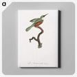 1-53_Des-Oiseaux-de-Paradis_canvas