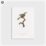 1-53_Des-Oiseaux-de-Paradis_hagaki