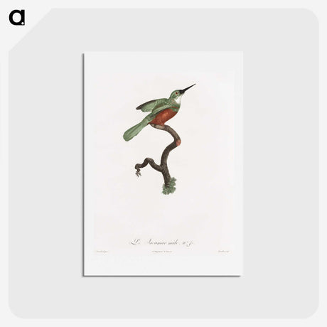 1-53_Des-Oiseaux-de-Paradis_hagaki