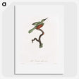 1-53_Des-Oiseaux-de-Paradis_picture