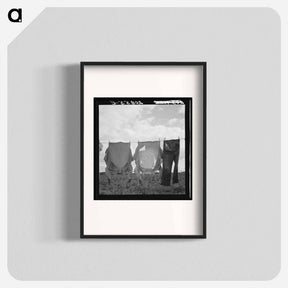アートポスター-Kytta farm. Western Washington, Thurston County, Michigan Hill - ドロテア ラング Poster.