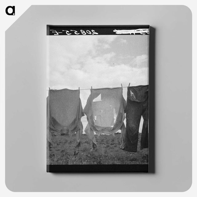 1-53_Dorothea-Lange_canvas