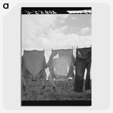 1-53_Dorothea-Lange_picture-crop
