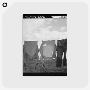 1-53_Dorothea-Lange_postcard