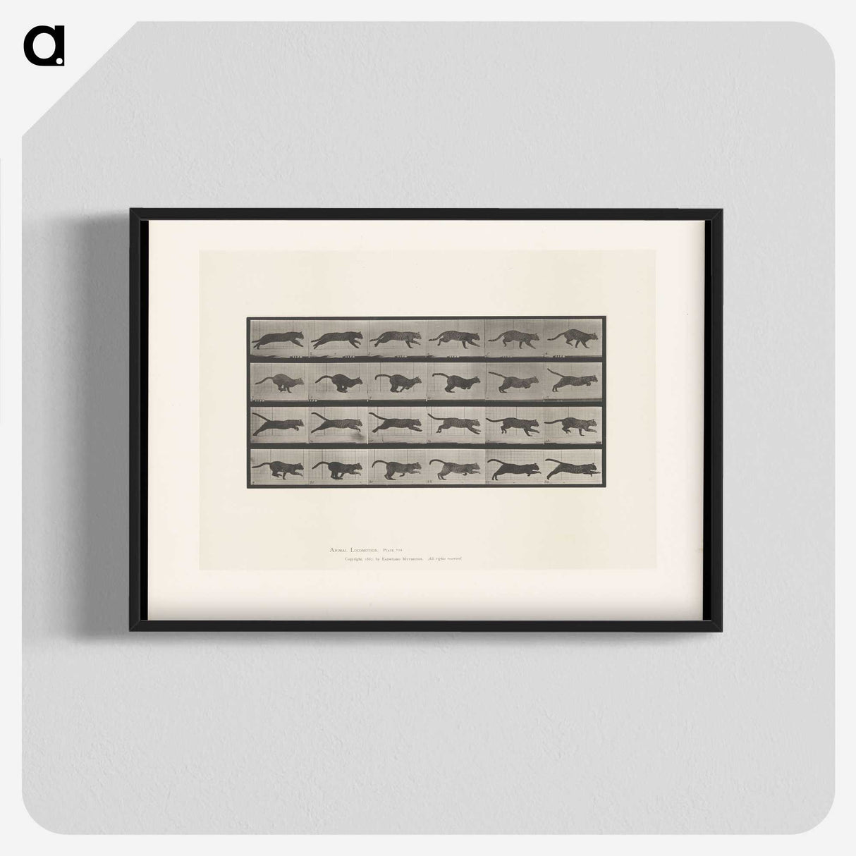 1-53_Eadweard-Muybridge_blk-crop