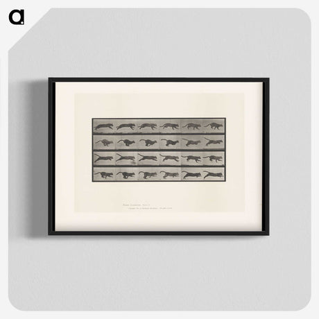 1-53_Eadweard-Muybridge_blk-crop