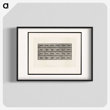 1-53_Eadweard-Muybridge_blk