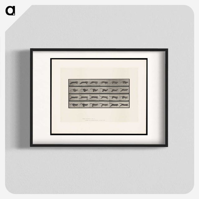 1-53_Eadweard-Muybridge_blk