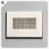 1-53_Eadweard-Muybridge_canvas