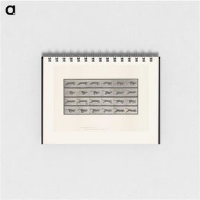 1-53_Eadweard-Muybridge_memo