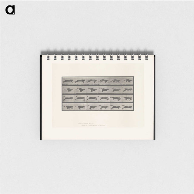 1-53_Eadweard-Muybridge_memo