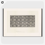 1-53_Eadweard-Muybridge_picture-crop