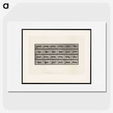 1-53_Eadweard-Muybridge_picture
