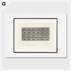 1-53_Eadweard-Muybridge_picture