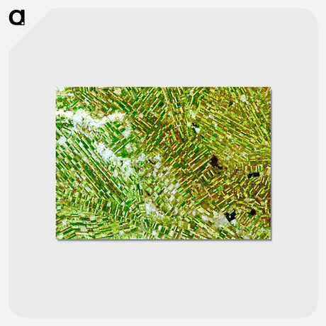 アートポストカード-Al Jazirah State, Sudan, from NASA Data
 - 上空からの地球 Postcard.