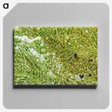 1-53_Earth-from-Above_canvas