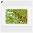 1-53_Earth-from-Above_picture