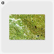 1-53_Earth-from-Above_postcard
