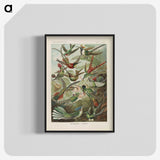 1-53_Ernst-Haeckel_blk-crop