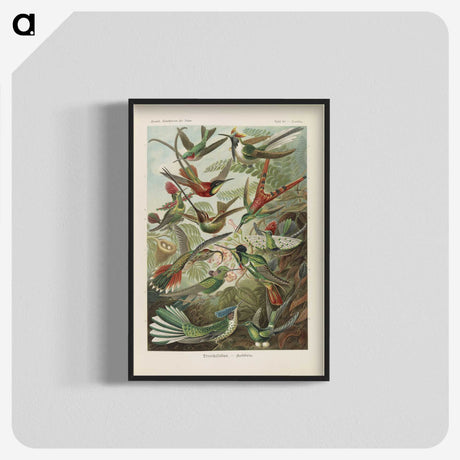 1-53_Ernst-Haeckel_blk-crop