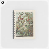 1-53_Ernst-Haeckel_memo