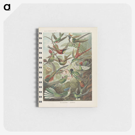 1-53_Ernst-Haeckel_memo