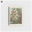 アートメモ帳-Birds illustration from Kunstformen der Natur - エルンスト ヘッケル Memo.