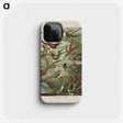 1-53_Ernst-Haeckel_phone
