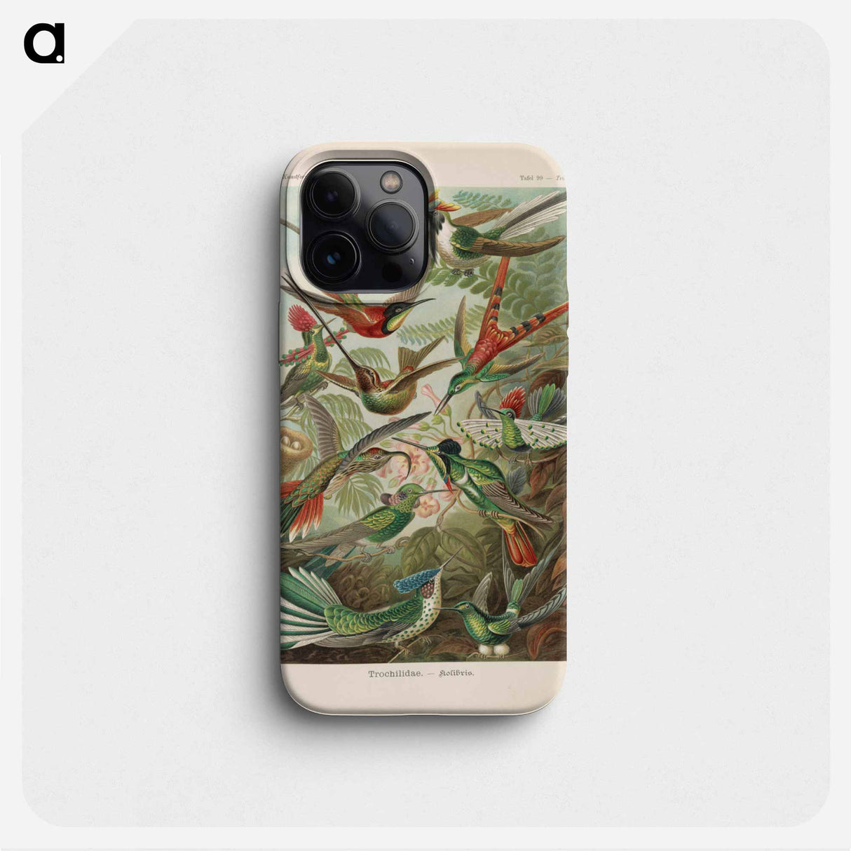 Birds illustration from Kunstformen der Natur - エルンスト ヘッケル Phone Case.