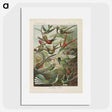1-53_Ernst-Haeckel_picture