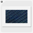 1-53_Furuya-Korin_picture