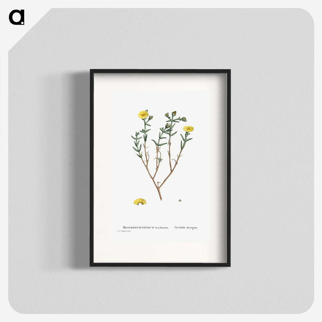 1-53_Histoire-des-Plantes-Grasses_blk