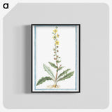 1-53_Hortus-Romanus-Botanical-Plates_blk-crop