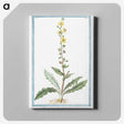 1-53_Hortus-Romanus-Botanical-Plates_canvas