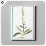 1-53_Hortus-Romanus-Botanical-Plates_canvas