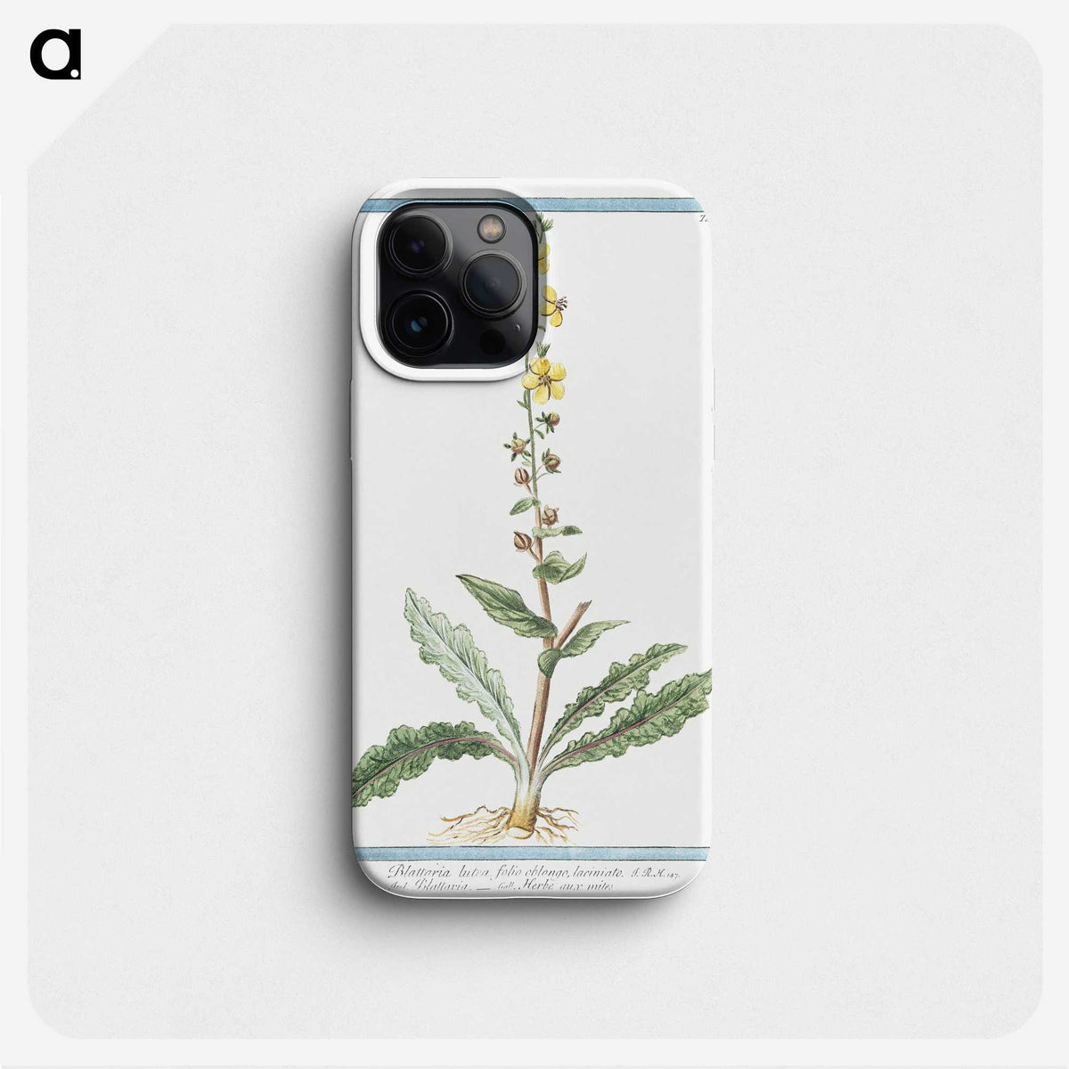 1-53_Hortus-Romanus-Botanical-Plates_phone