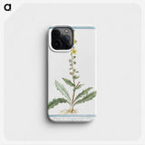 1-53_Hortus-Romanus-Botanical-Plates_phone