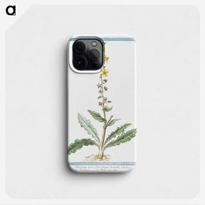 1-53_Hortus-Romanus-Botanical-Plates_phone