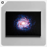 アートパネル-Pinwheel of Star Birth
 - ハッブル画像 Canvas.