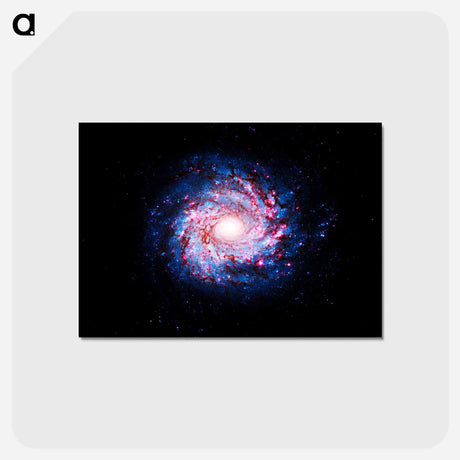 アートポストカード-Pinwheel of Star Birth
 - ハッブル画像 Postcard.